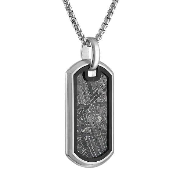 Icon Pendant Stainless Steel with Meteorite
