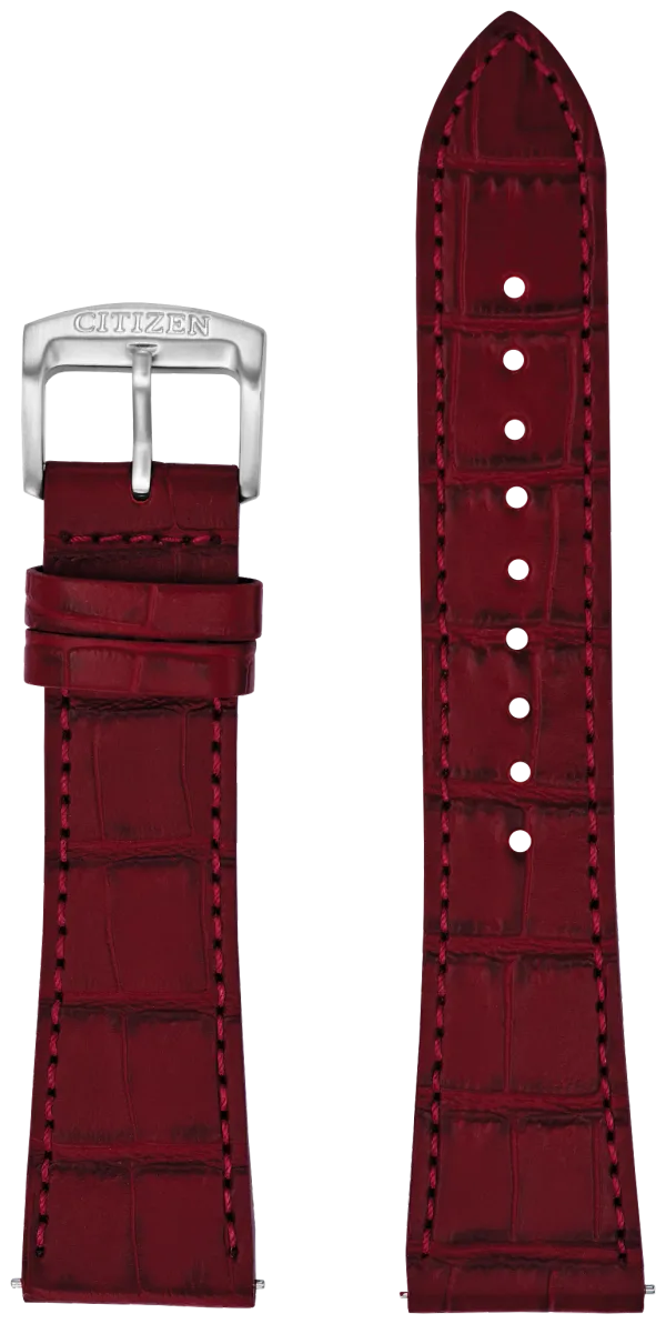 Citizen Leather Straps — Citizen
