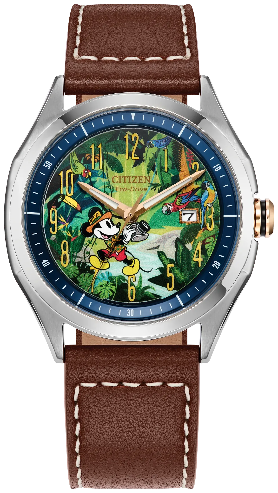 Mickey Mouse Explorer