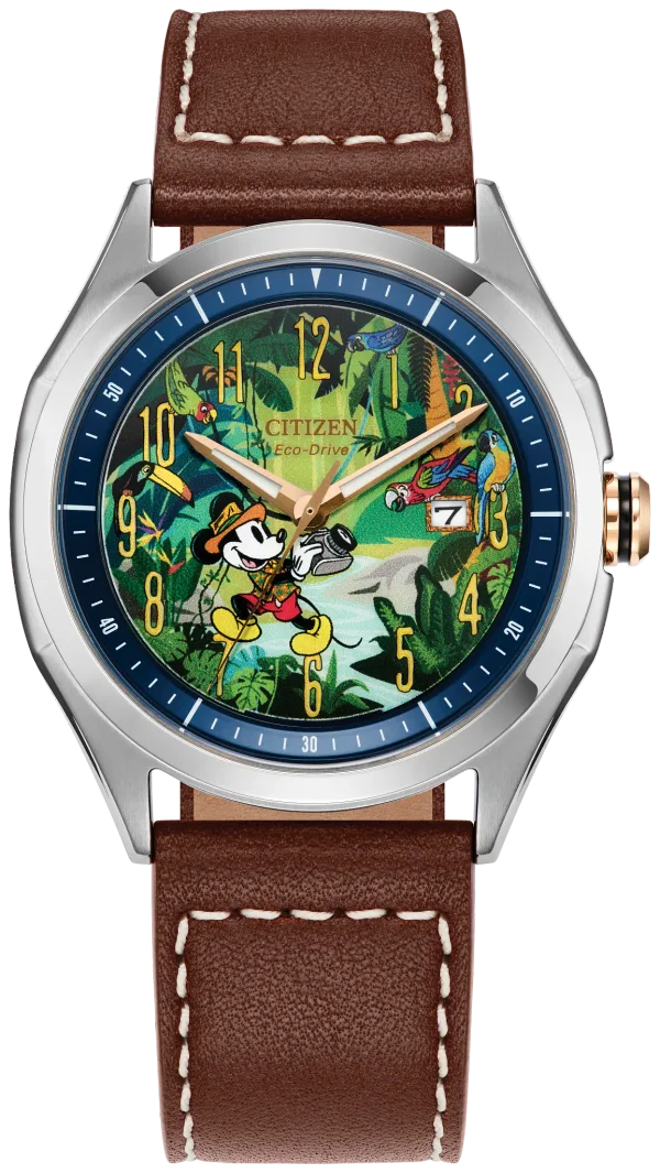 Mickey Mouse Explorer