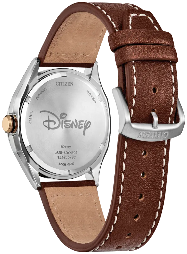 Mickey Mouse Explorer