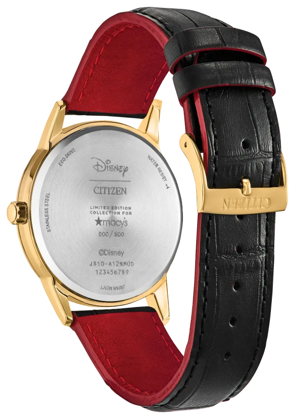 Soaring High Mickey Mouse