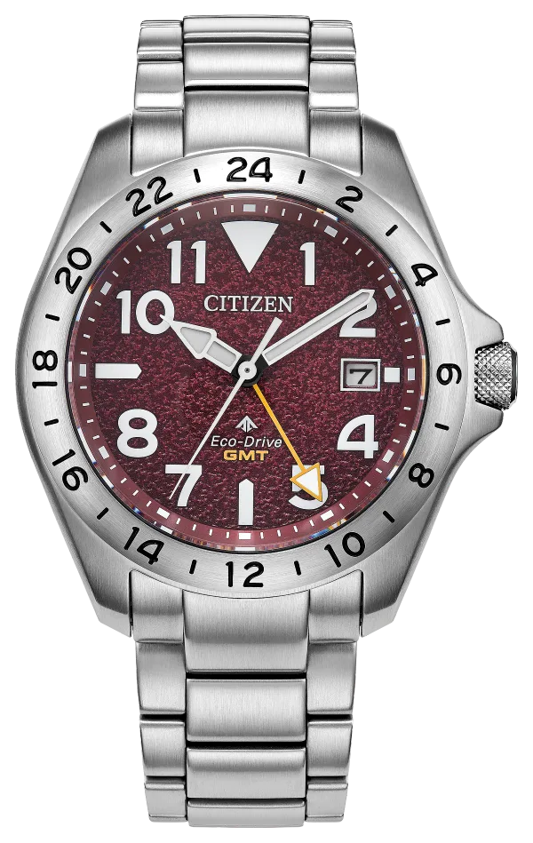Promaster Land GMT
