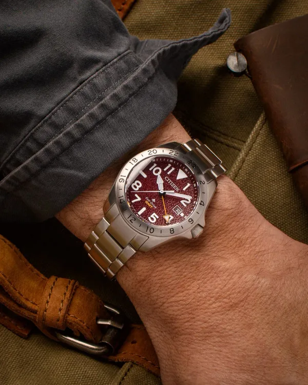 Promaster Land GMT