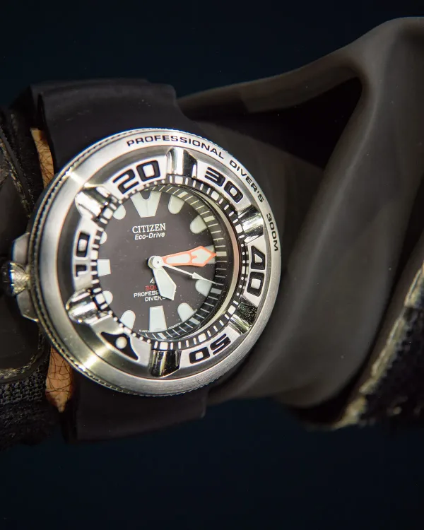 Promaster Dive "Ecozilla"