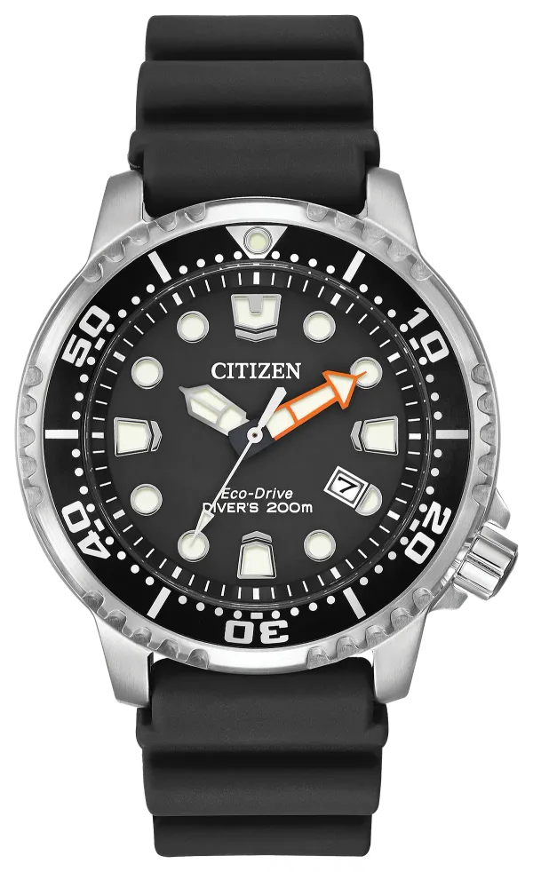 Promaster Dive