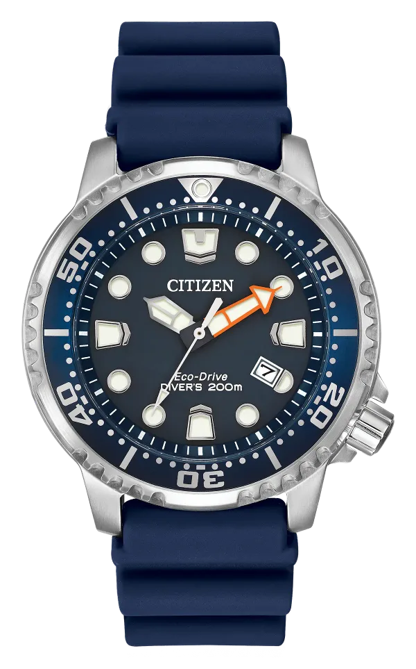 Promaster Dive