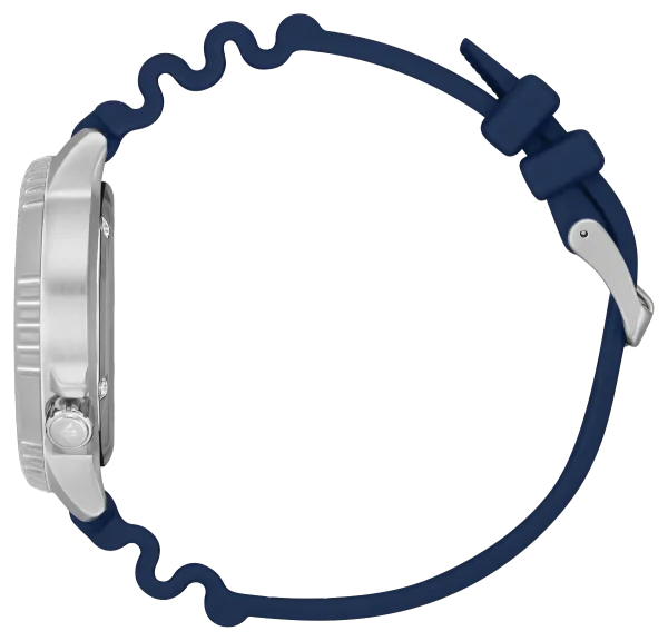 Promaster Dive