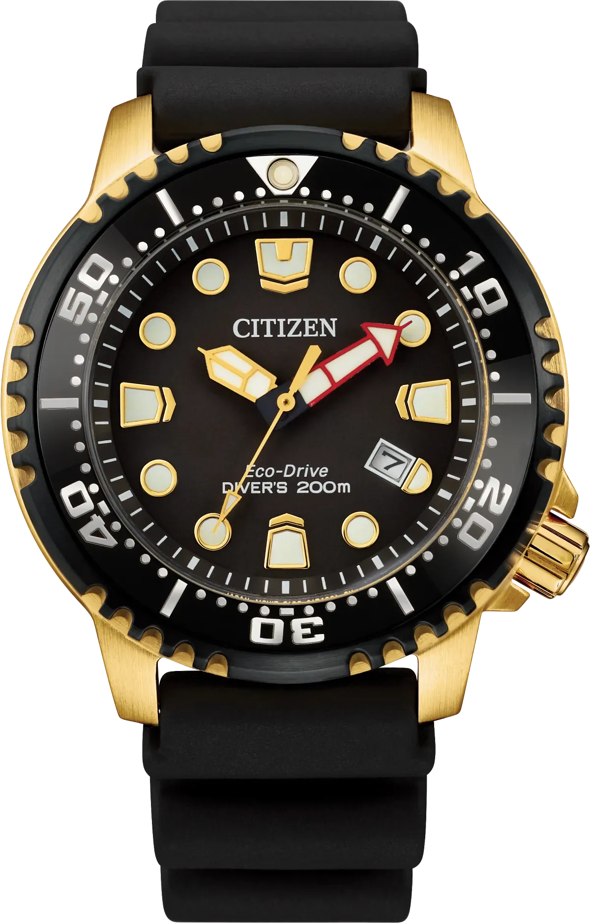 Promaster Dive