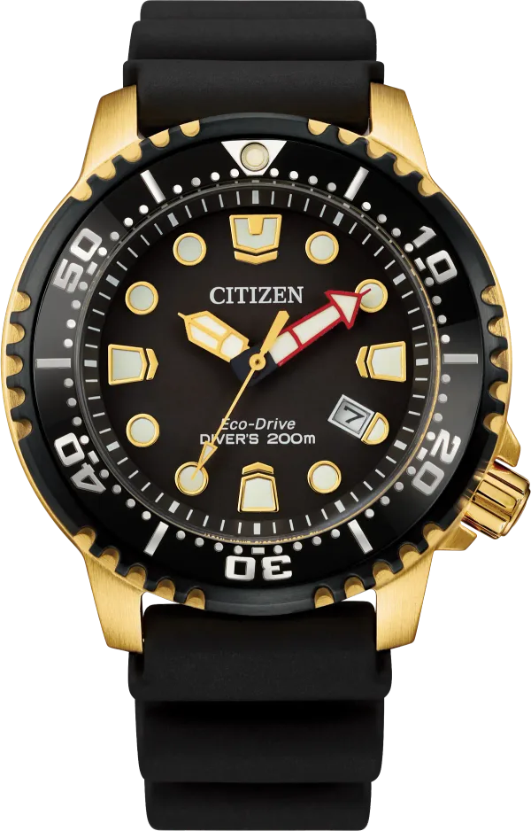 Promaster Dive