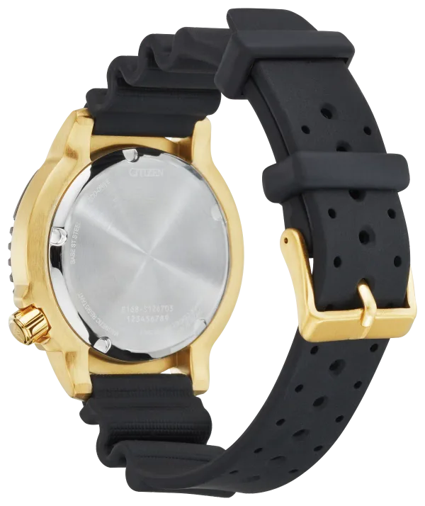 Promaster Dive