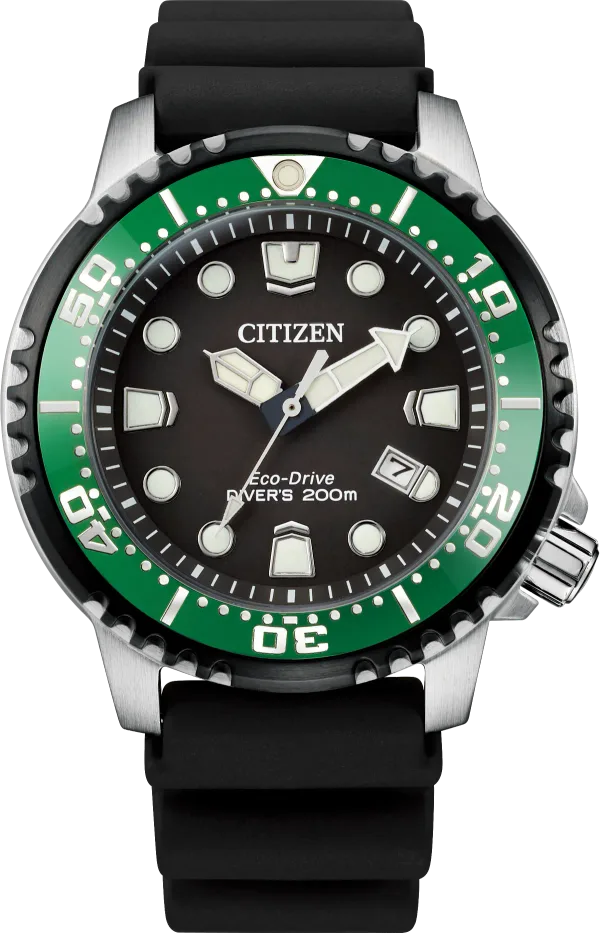 Promaster Dive