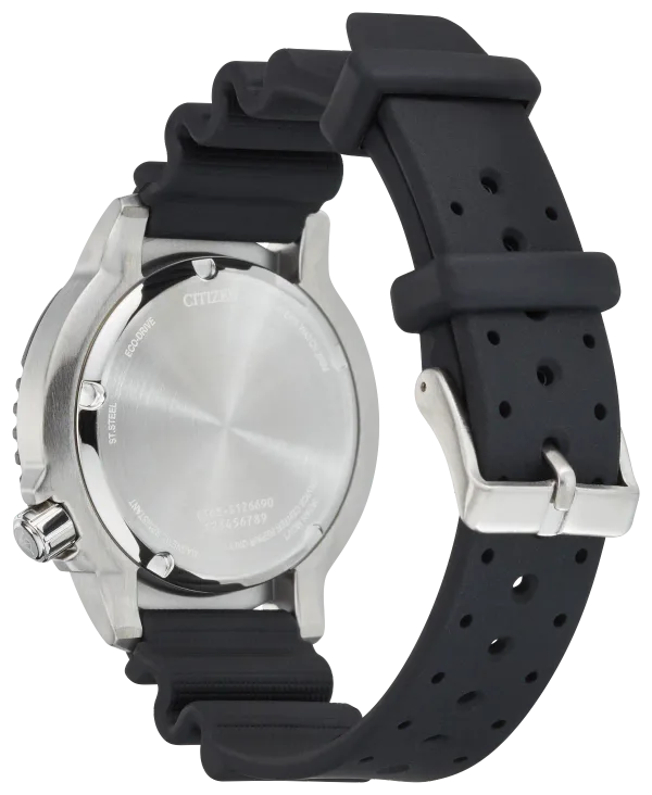 Promaster Dive
