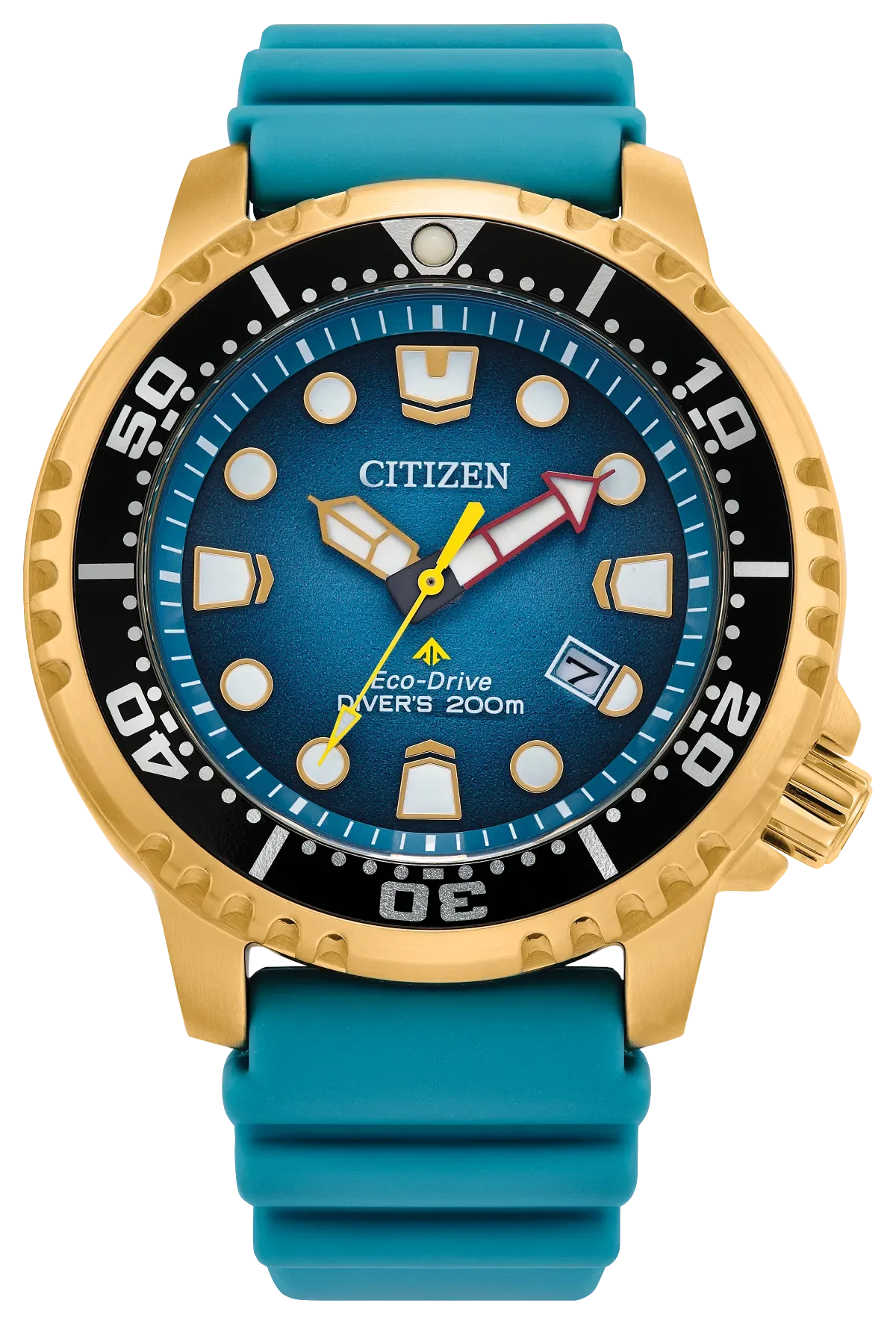 Promaster Dive