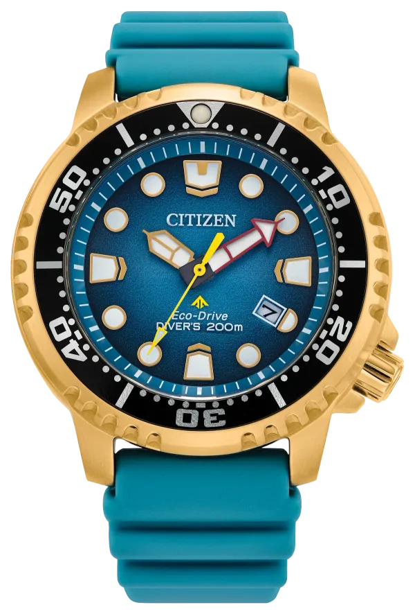 Promaster Dive