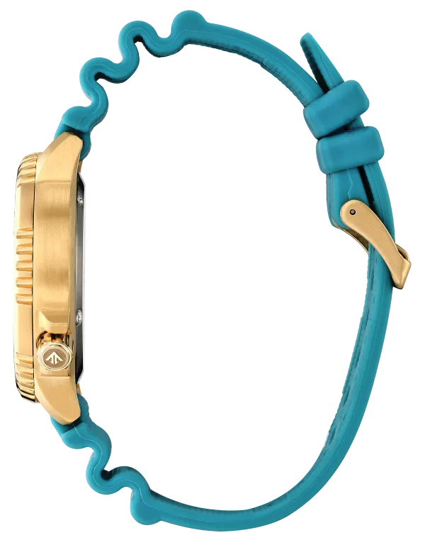 Promaster Dive