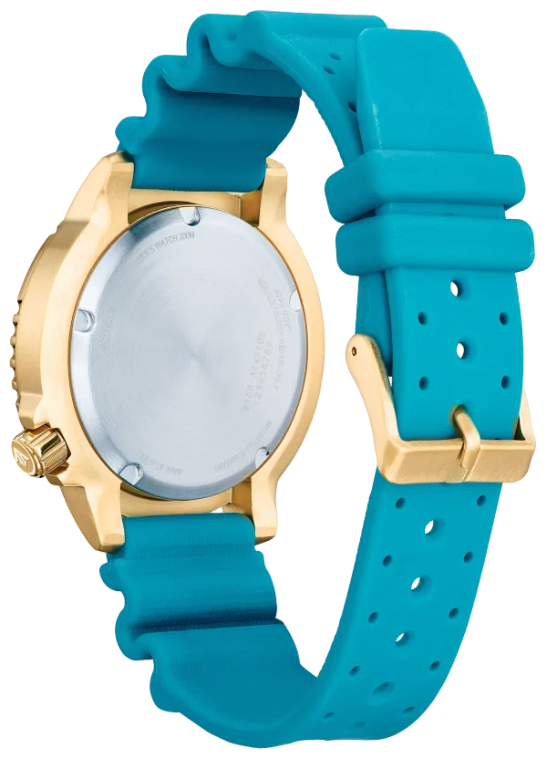 Promaster Dive