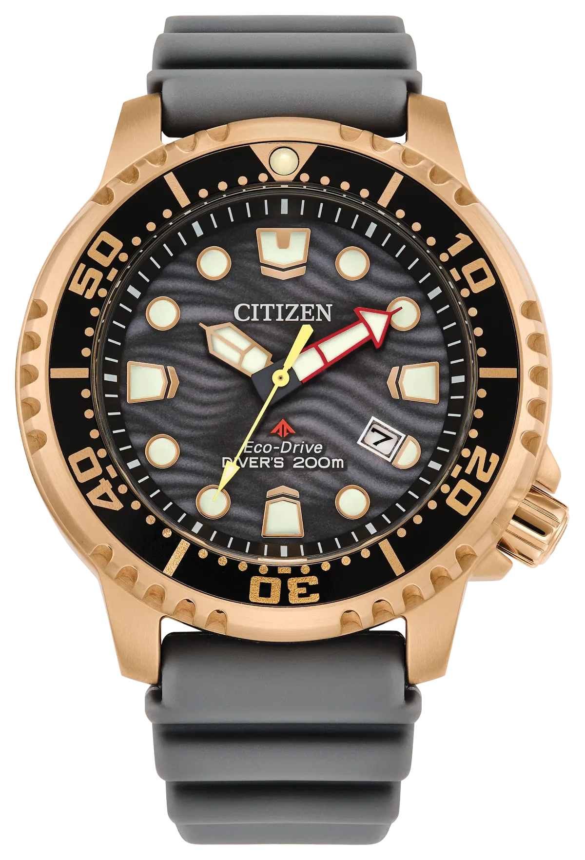 Promaster Dive