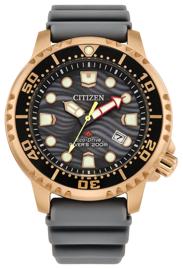 Promaster Dive