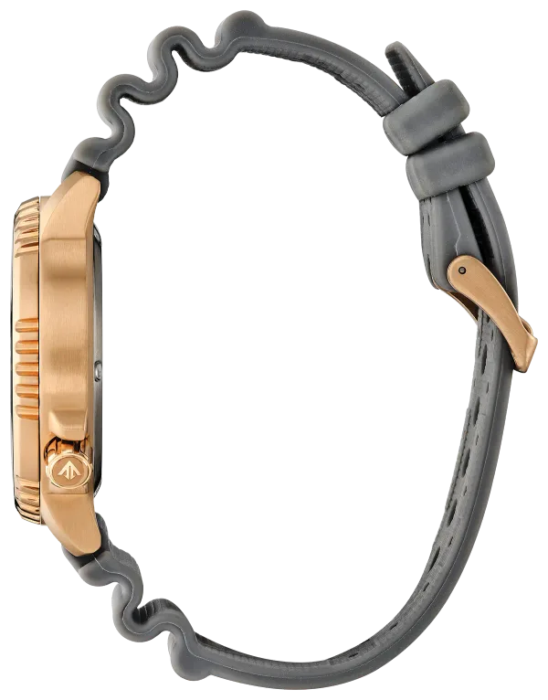 Promaster Dive