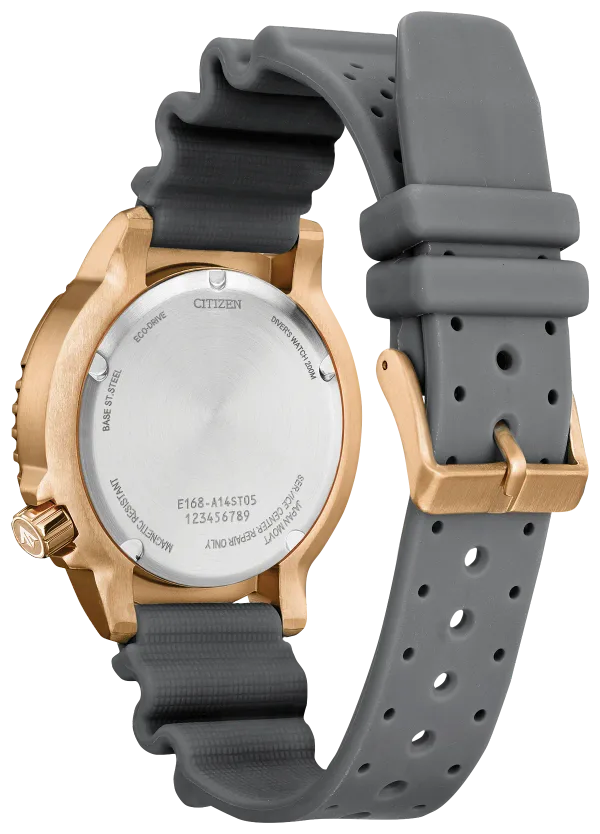 Promaster Dive