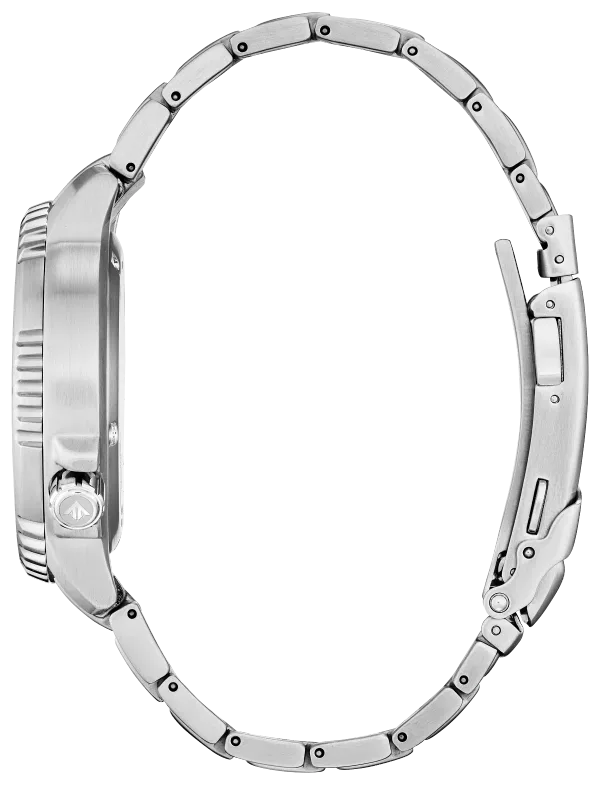 Promaster Dive