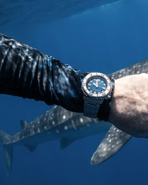 Promaster Dive
