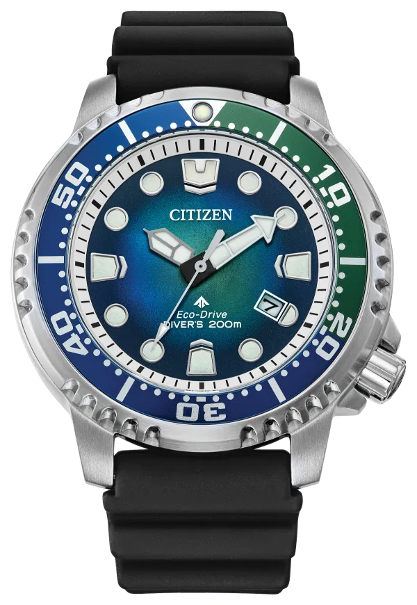 Promaster Dive