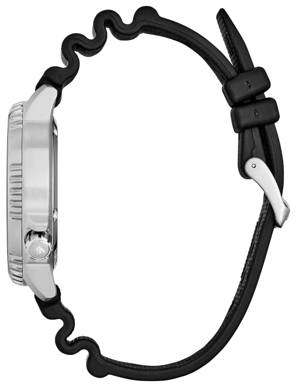 Promaster Dive