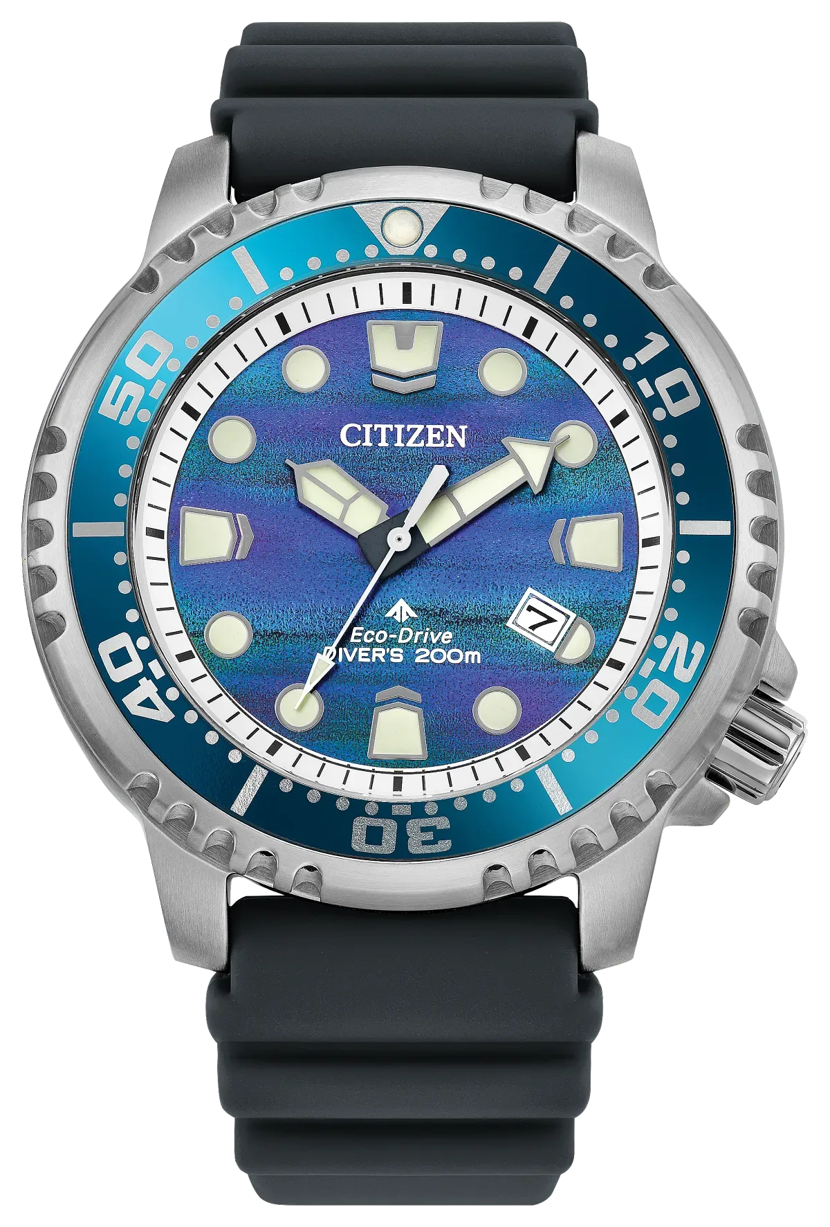 Promaster Dive