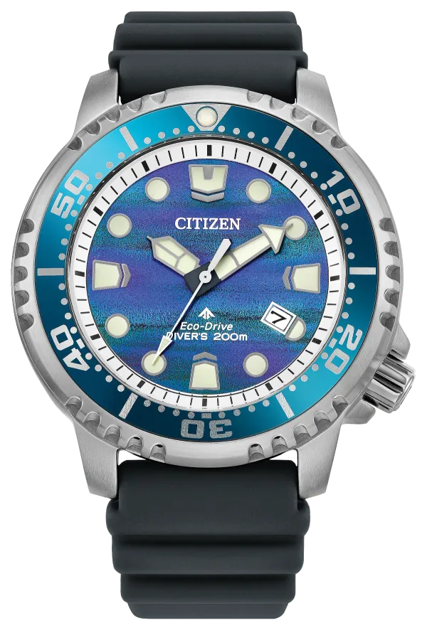 Promaster Dive