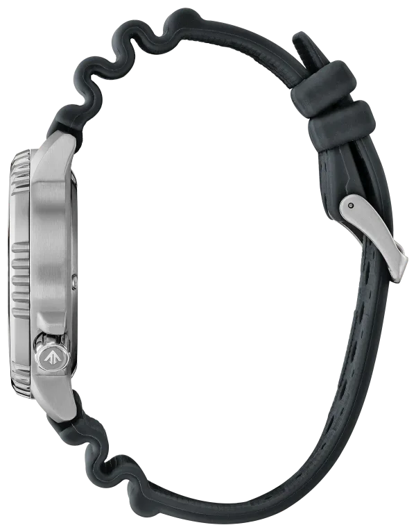 Promaster Dive