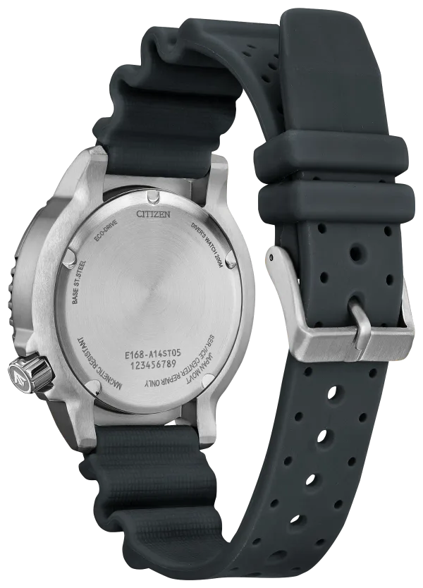 Promaster Dive