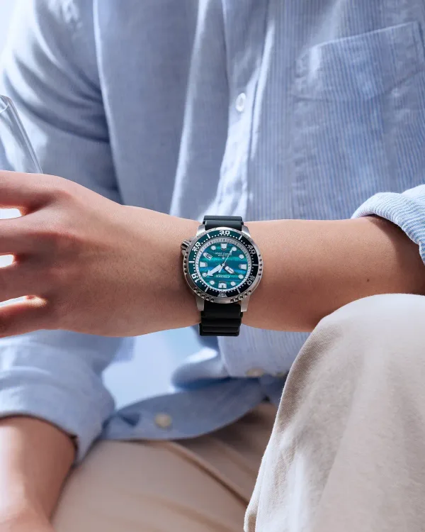 Promaster Dive