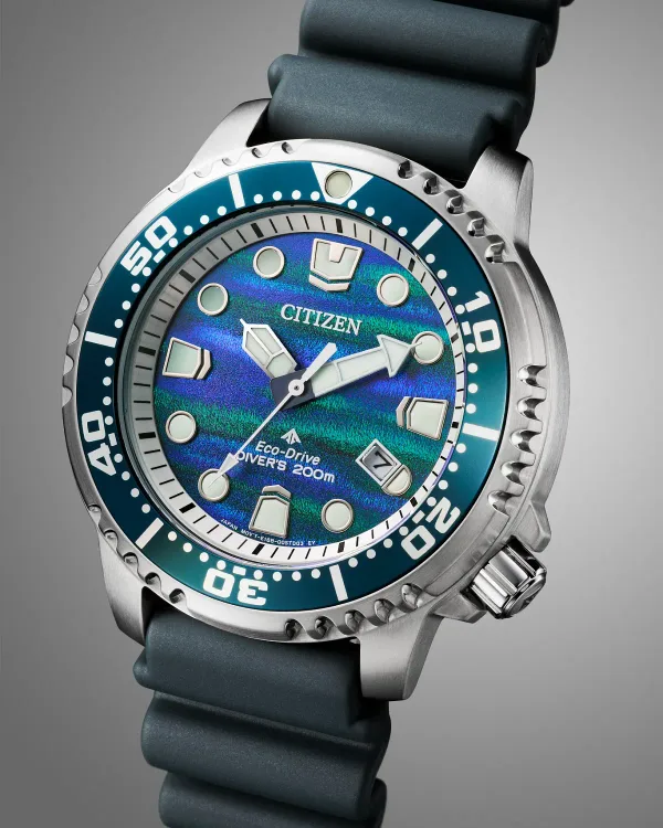 Promaster Dive