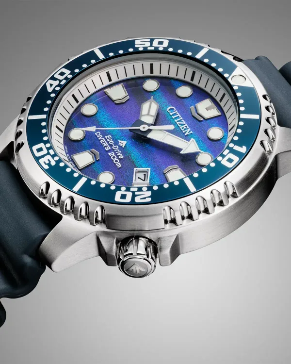 Promaster Dive