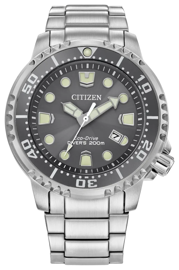 Promaster Dive