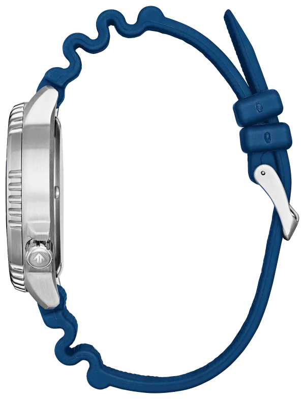 Promaster Dive