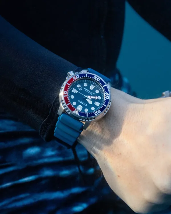 Promaster Dive