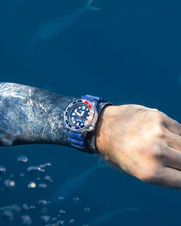 Promaster Dive