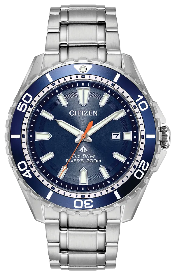 Promaster Dive