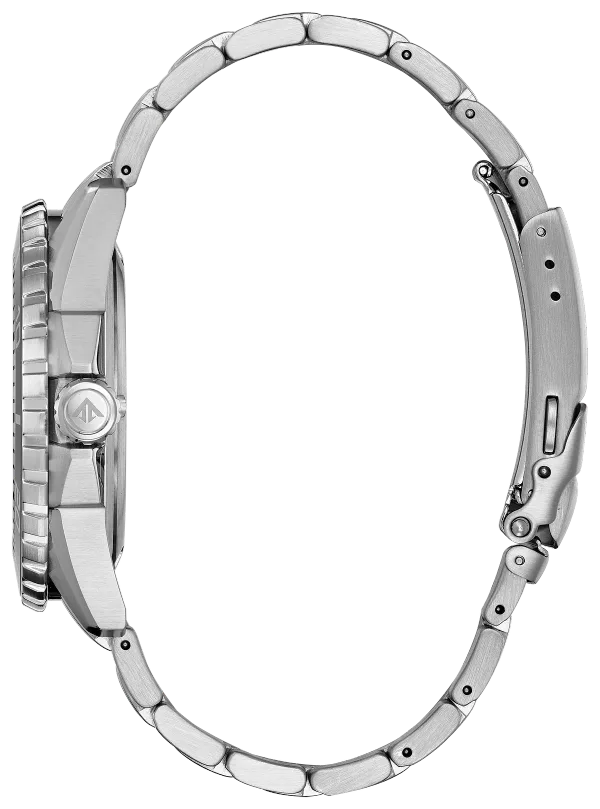 Promaster Dive