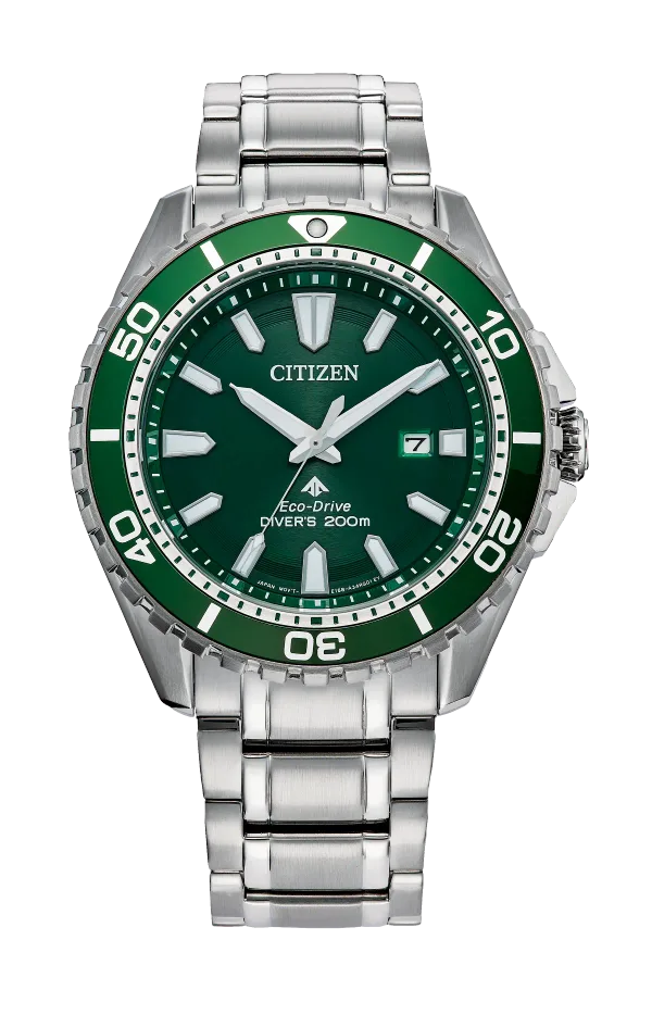 Promaster Dive