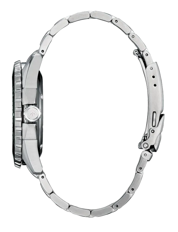 Promaster Dive