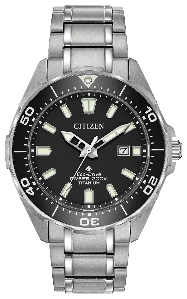 Promaster Dive
