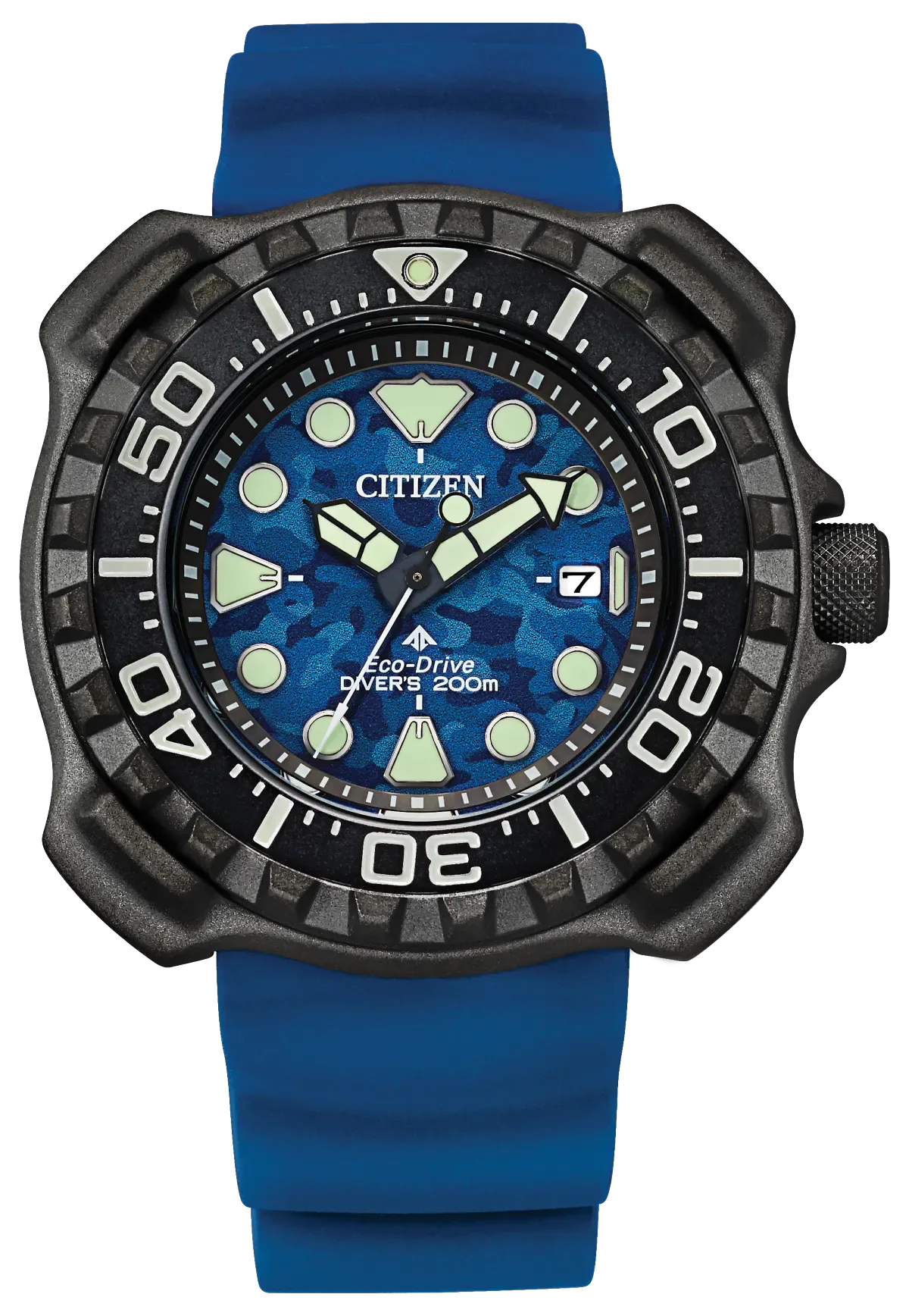 Promaster Dive