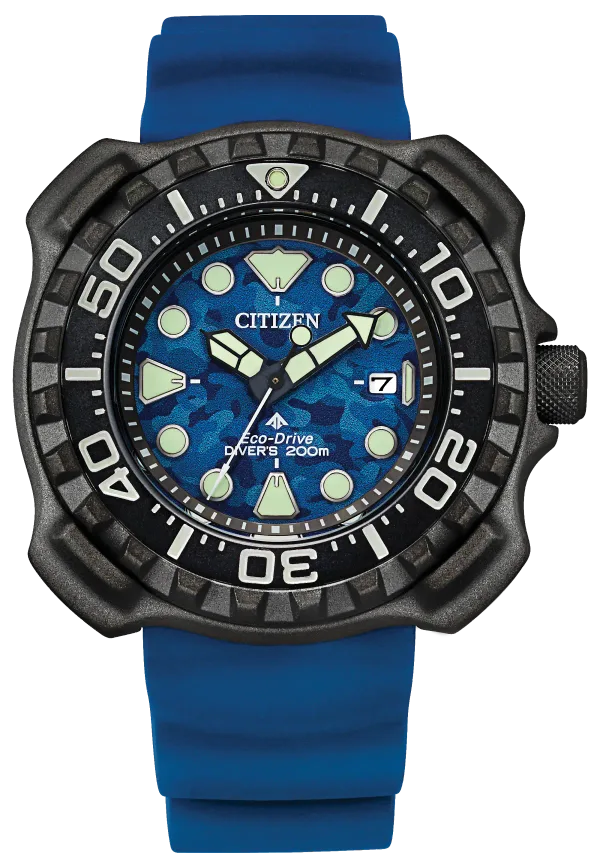 Promaster Dive