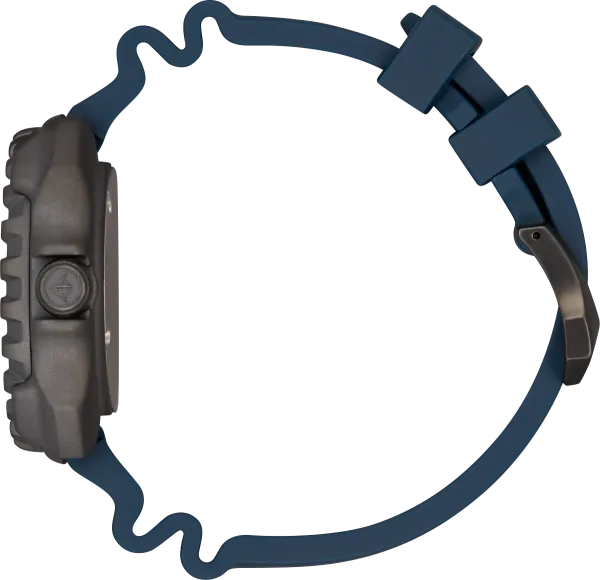 Promaster Dive