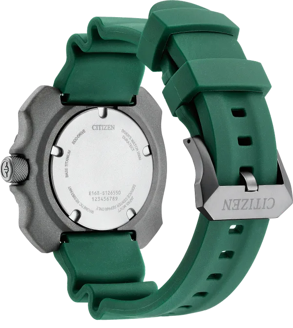 Promaster Dive