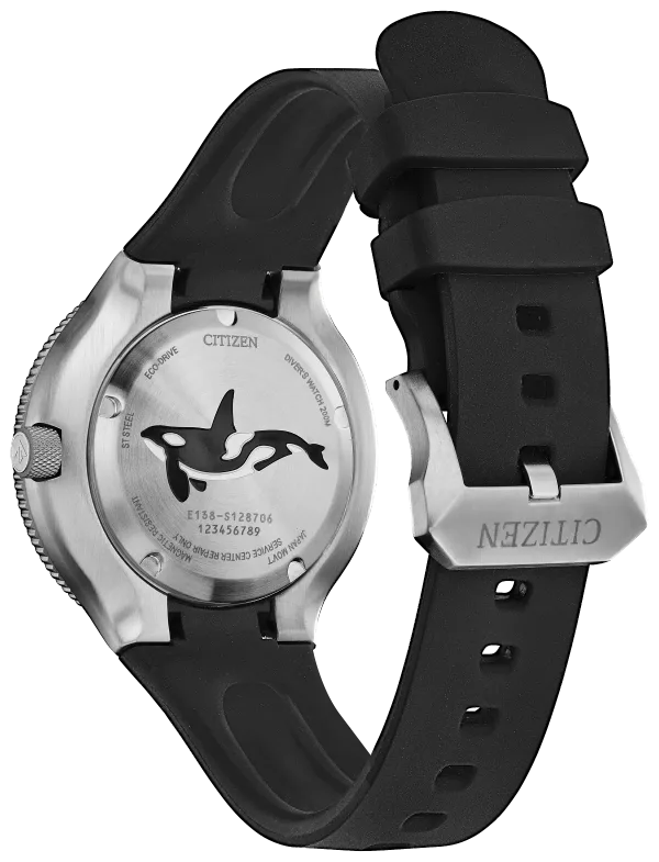 Promaster Dive
